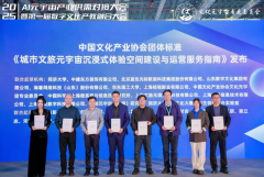 <b>元专委会组织编制、同济大学数智文化大模子学</b>